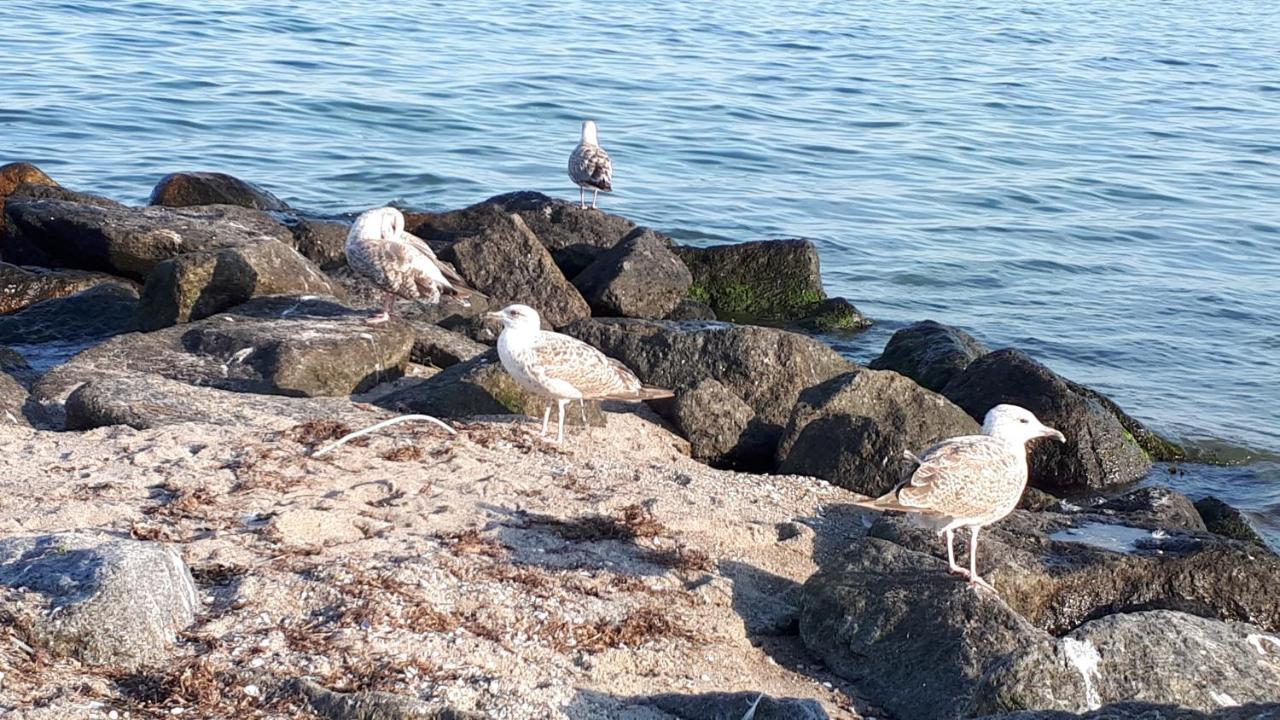 Dachgeschosswohnung Mit Seeblick Ahrensbok Εξωτερικό φωτογραφία